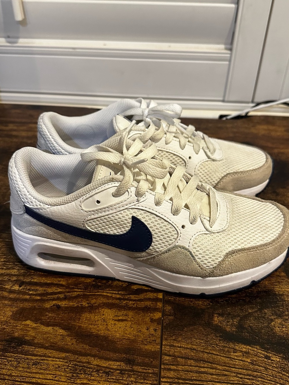 Nike Cream and Navy Mesh Suede Sneakers